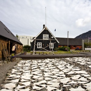 Saltfiskverkunin